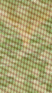 Yaratıcı video düzenleme film arkaplan tasarımı için minimalist organik hareket grafikleri