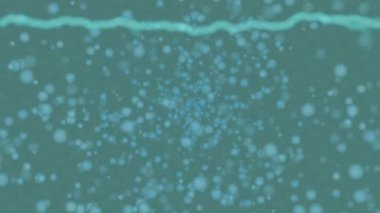 Lüks hareket tasarımı üst düzey video projeleri ve dijital sanat için zarif, pürüzsüz bir dokusu var.