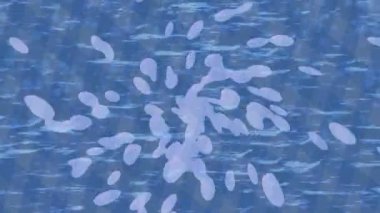 Lüks hareket tasarımı üst düzey video projeleri ve dijital sanat için zarif, pürüzsüz bir dokusu var.