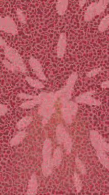 Benzersiz dijital hareket grafiklerine sahip yaratıcı sinematik projeler için yumuşak animasyon yüzeyi