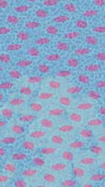 Organik desenli yüzey giriş stili video film sanatı ile soyut arkaplan tasarımı