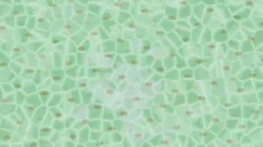 Estetik doku arkaplan tasarımı renkli hareket grafikleri ile moda film giriş profosyoneli