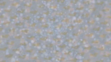 Benzersiz dijital hareket grafiklerine sahip yaratıcı sinematik projeler için yumuşak animasyon yüzeyi