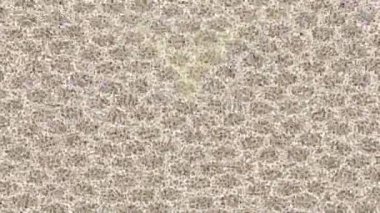 Benzersiz dijital hareket grafiklerine sahip yaratıcı sinematik projeler için yumuşak animasyon yüzeyi