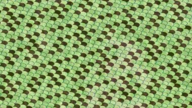 Lüks hareket projeleri için soyut tasarım stili animasyonu olan üst düzey dijital doku