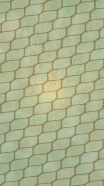 Lüks hareket tasarımı üst düzey video projeleri ve dijital sanat için zarif, pürüzsüz bir dokusu var.