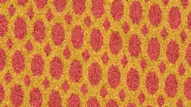 Profesyonel video projeleri sanat tarzı için organik hareketli arkaplan tasarımı