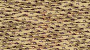 Lüks hareket projeleri için soyut tasarım stili animasyonu olan üst düzey dijital doku