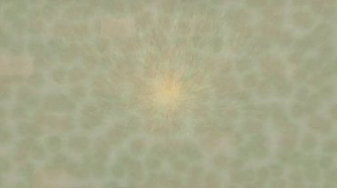 Benzersiz dijital hareket grafiklerine sahip yaratıcı sinematik projeler için yumuşak animasyon yüzeyi