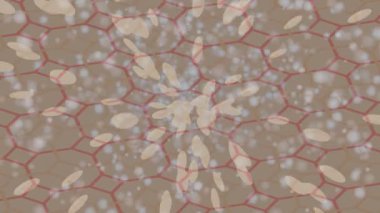 Dijital doku yüzey tasarım biçimi ile modern video animasyonu için gelişmiş hareket grafikleri