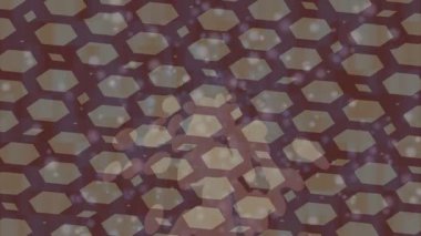 Benzersiz dijital hareket grafiklerine sahip yaratıcı sinematik projeler için yumuşak animasyon yüzeyi