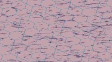 Organik desenli yüzey giriş stili video film sanatı ile soyut arkaplan tasarımı