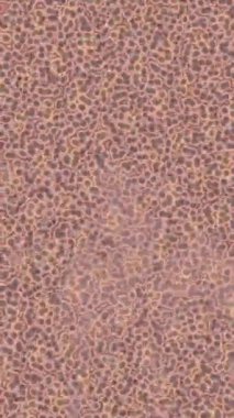 Benzersiz dijital animasyon tarzı grafikleri olan yaratıcı ortam tasarımı için yenilikçi hareket dokusu