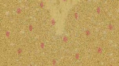 Dijital doku yüzey tasarım biçimi ile modern video animasyonu için gelişmiş hareket grafikleri