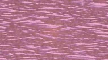 Benzersiz hareket dokusu tasarım sanatı ile profesyonel video düzenleme için modern soyut grafikler