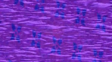 Estetik doku arkaplan tasarımı renkli hareket grafikleri ile moda film giriş profosyoneli