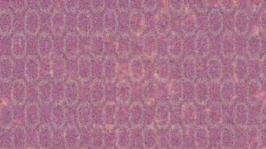 Lüks hareket tasarımı üst düzey video projeleri ve dijital sanat için zarif, pürüzsüz bir dokusu var.