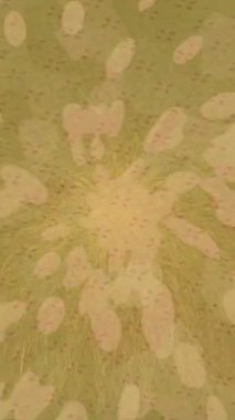 Dijital doku yüzey tasarım biçimi ile modern video animasyonu için gelişmiş hareket grafikleri