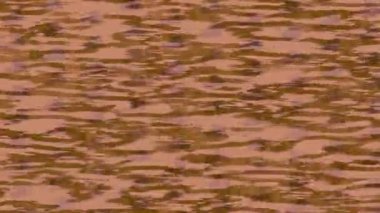 Yaratıcı video düzenleme film tasarımı için benzersiz hareket grafikleri biçimi giriş hareketi video pro