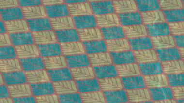 Benzersiz hareket dokusu tasarım sanatı ile profesyonel video düzenleme için modern soyut grafikler