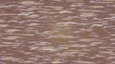 Yaratıcı video düzenleme film arkaplan tasarımı için minimalist organik hareket grafikleri