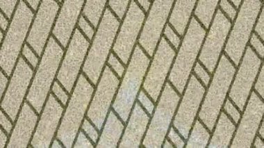 Soyut hareket desenli fütüristik video üretimi için dinamik dijital arkaplan