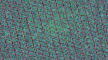 Dijital doku yüzey tasarım biçimi ile modern video animasyonu için gelişmiş hareket grafikleri