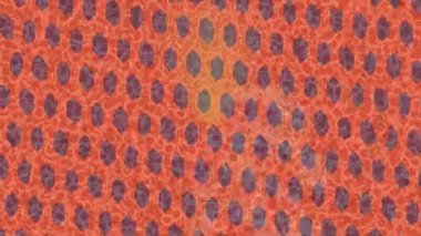 Benzersiz video giriş tasarımı projeleri için detaylı yüzey kalıbı film animasyon stili grafik girişi