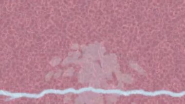 Dijital doku yüzey tasarım biçimi ile modern video animasyonu için gelişmiş hareket grafikleri