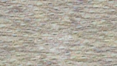 Soyut hareket desenli fütüristik video üretimi için dinamik dijital arkaplan