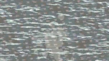 Organik desenli yüzey giriş stili video film sanatı ile soyut arkaplan tasarımı