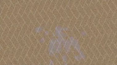 Benzersiz hareket grafikleri tasarım sanatına sahip yaratıcı film üretimi için özet bir arkaplan