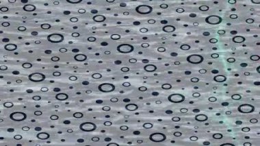 Profesyonel video projeleri sanat tarzı için organik hareketli arkaplan tasarımı