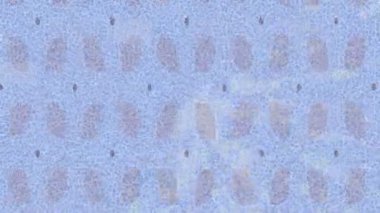 Benzersiz dijital animasyon tarzı grafikleri olan yaratıcı ortam tasarımı için yenilikçi hareket dokusu