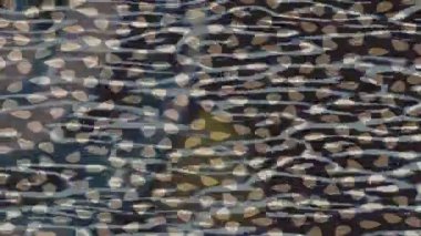 Profesyonel video projeleri sanat tarzı için organik hareketli arkaplan tasarımı