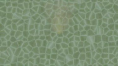 Yaratıcı video düzenleme film arkaplan tasarımı için minimalist organik hareket grafikleri