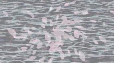 Benzersiz video giriş tasarımı projeleri için detaylı yüzey kalıbı film animasyon stili grafik girişi