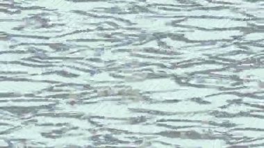 Yaratıcı video düzenleme film tasarımı için benzersiz hareket grafikleri biçimi giriş hareketi video pro