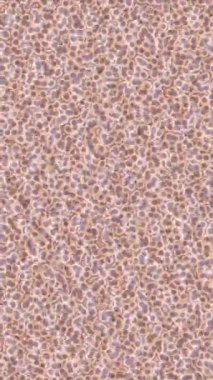 Benzersiz hareket grafikleri tasarım sanatına sahip yaratıcı film üretimi için özet bir arkaplan