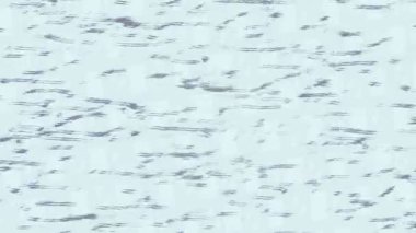 Lüks hareket projeleri için soyut tasarım stili animasyonu olan üst düzey dijital doku