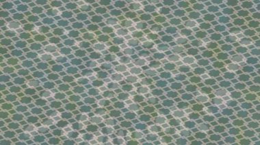 Profesyonel video projeleri sanat tarzı için organik hareketli arkaplan tasarımı