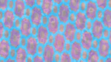 Benzersiz dijital hareket grafiklerine sahip yaratıcı sinematik projeler için yumuşak animasyon yüzeyi