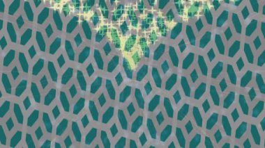 Dijital doku yüzey tasarım biçimi ile modern video animasyonu için gelişmiş hareket grafikleri