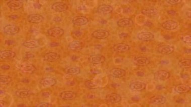 Estetik doku arkaplan tasarımı renkli hareket grafikleri ile moda film giriş profosyoneli