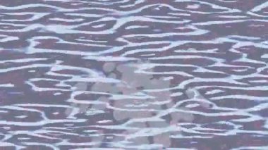 Benzersiz hareket dokusu tasarım sanatı ile profesyonel video düzenleme için modern soyut grafikler