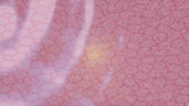 Estetik doku arkaplan tasarımı renkli hareket grafikleri ile moda film giriş profosyoneli