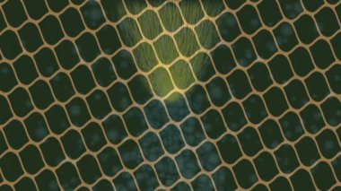 Profesyonel video projeleri sanat tarzı için organik hareketli arkaplan tasarımı