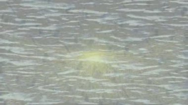 Benzersiz dijital hareket grafiklerine sahip yaratıcı sinematik projeler için yumuşak animasyon yüzeyi