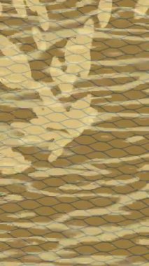 Organik desenli yüzey giriş stili video film sanatı ile soyut arkaplan tasarımı