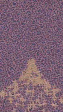 Lüks hareket projeleri için soyut tasarım stili animasyonu olan üst düzey dijital doku